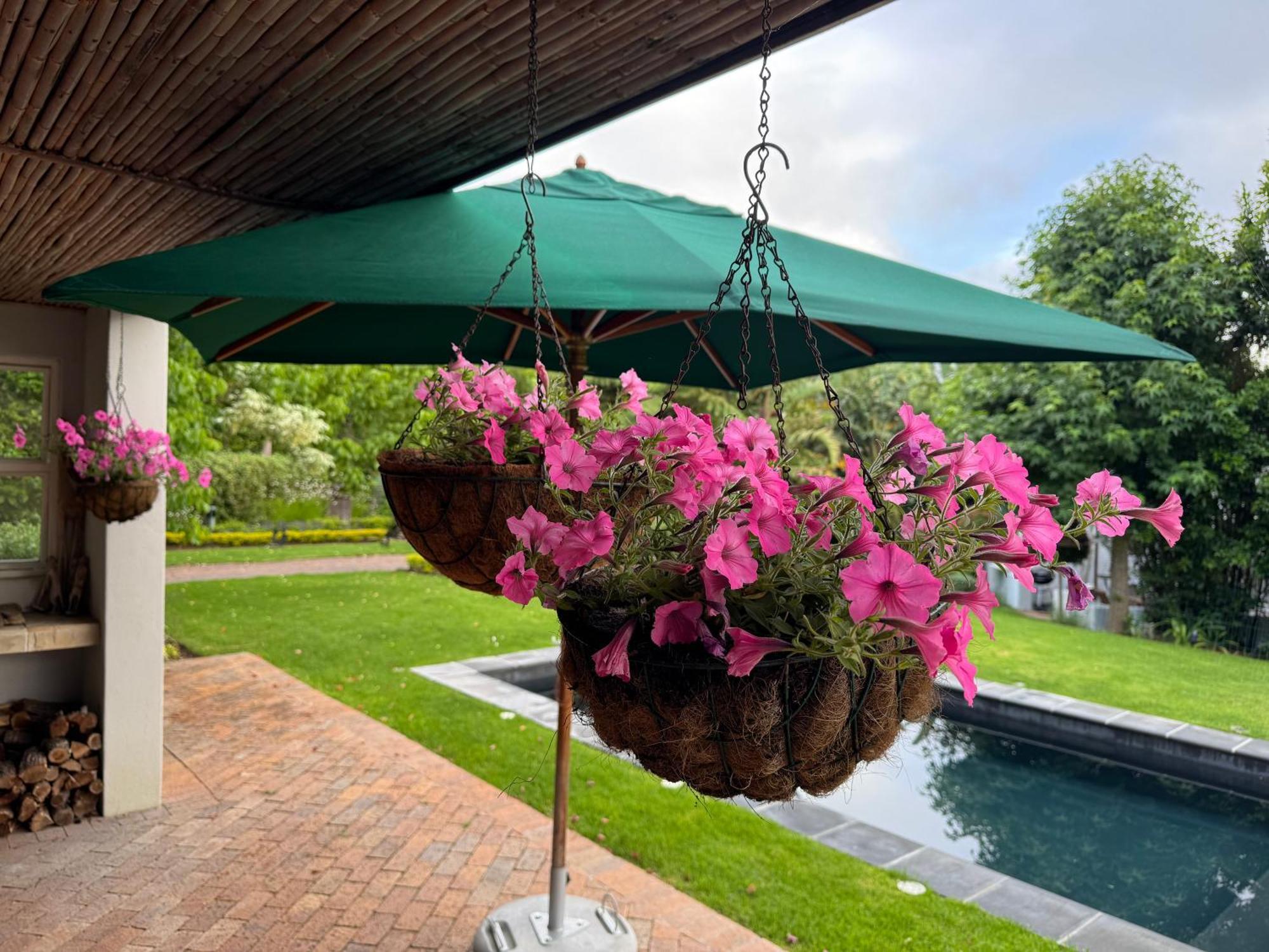 Apartment Grace - Charming 1 Bed With Solar Cape Town