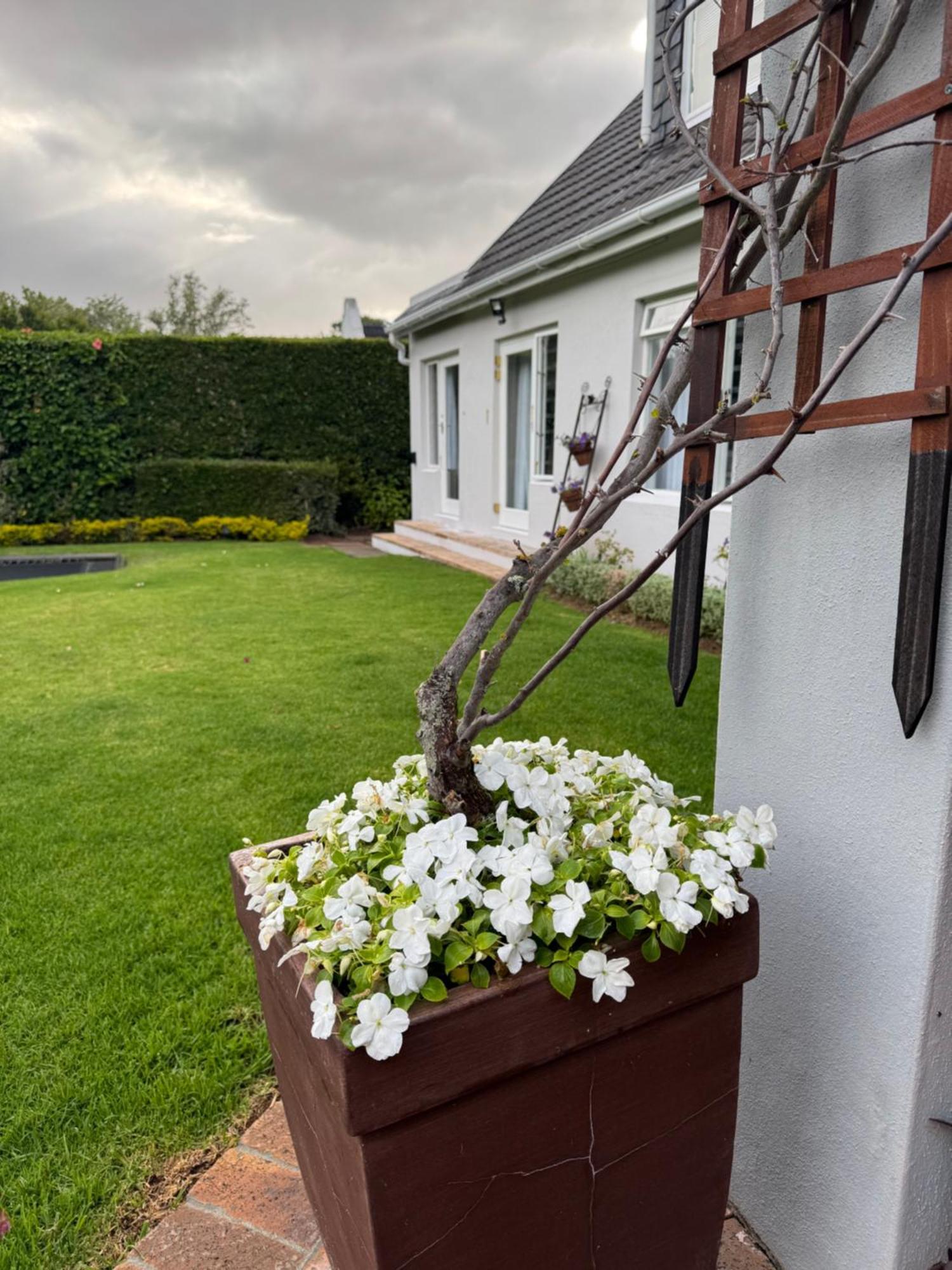 Grace - Charming 1 Bed With Solar Cape Town